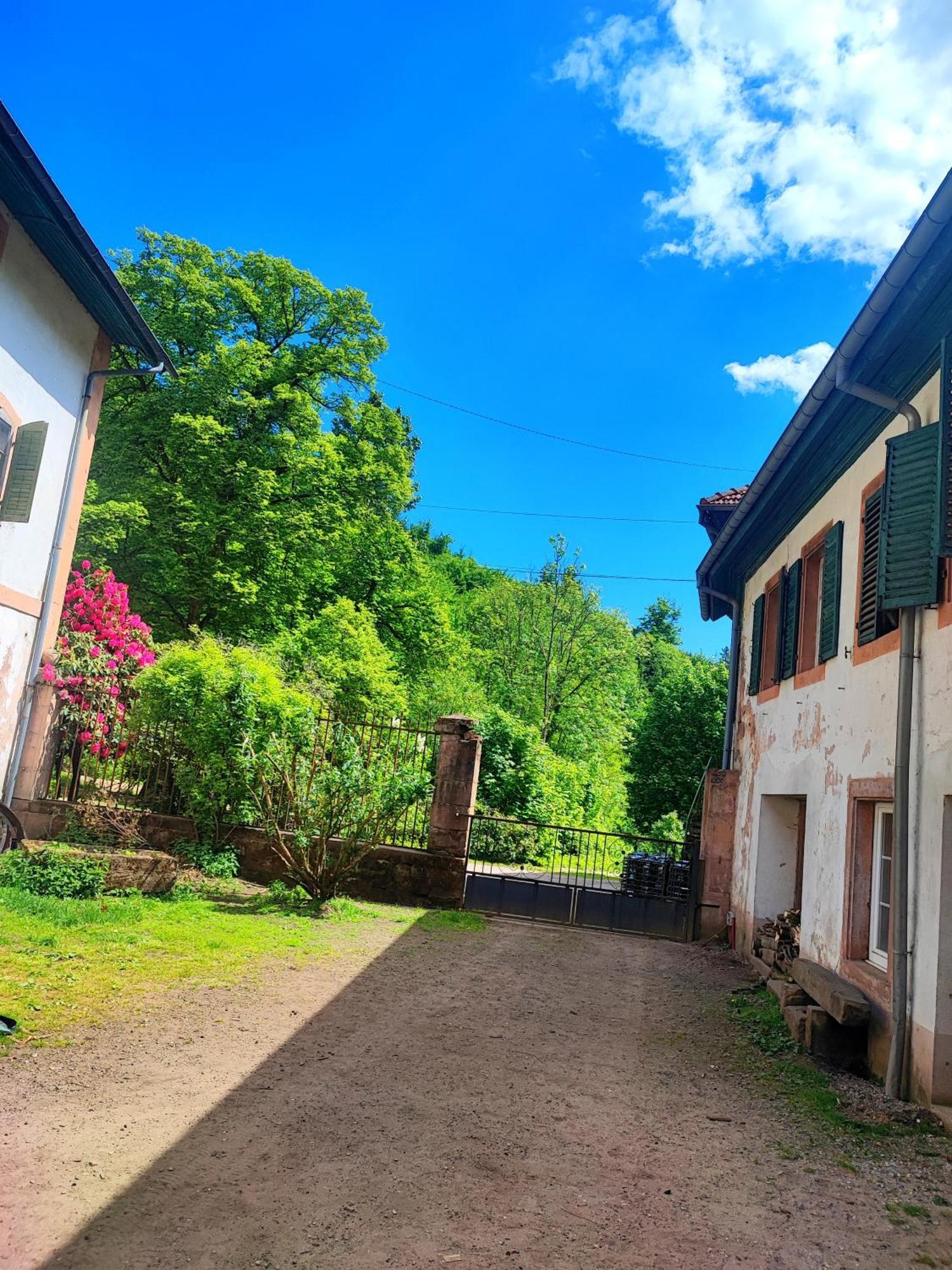 La Demeure Des Forges Apartment Grandfontaine  Exterior photo